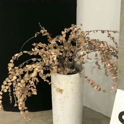 Furry兽设临摹素材兽圈群